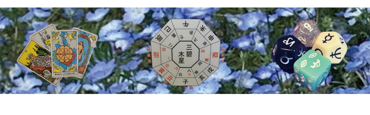 未来をつくる占い　青田紗知